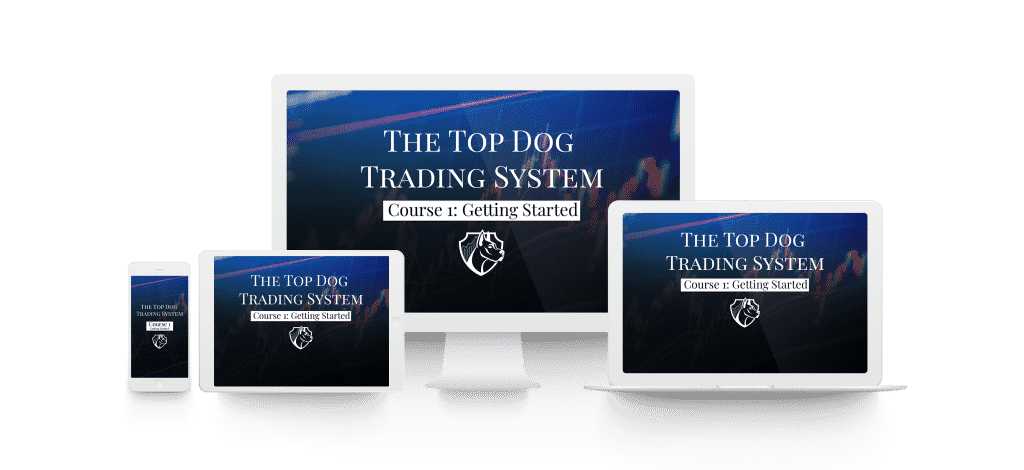 Forex Trading Course Forex Training And Education Top Dog Trading - 